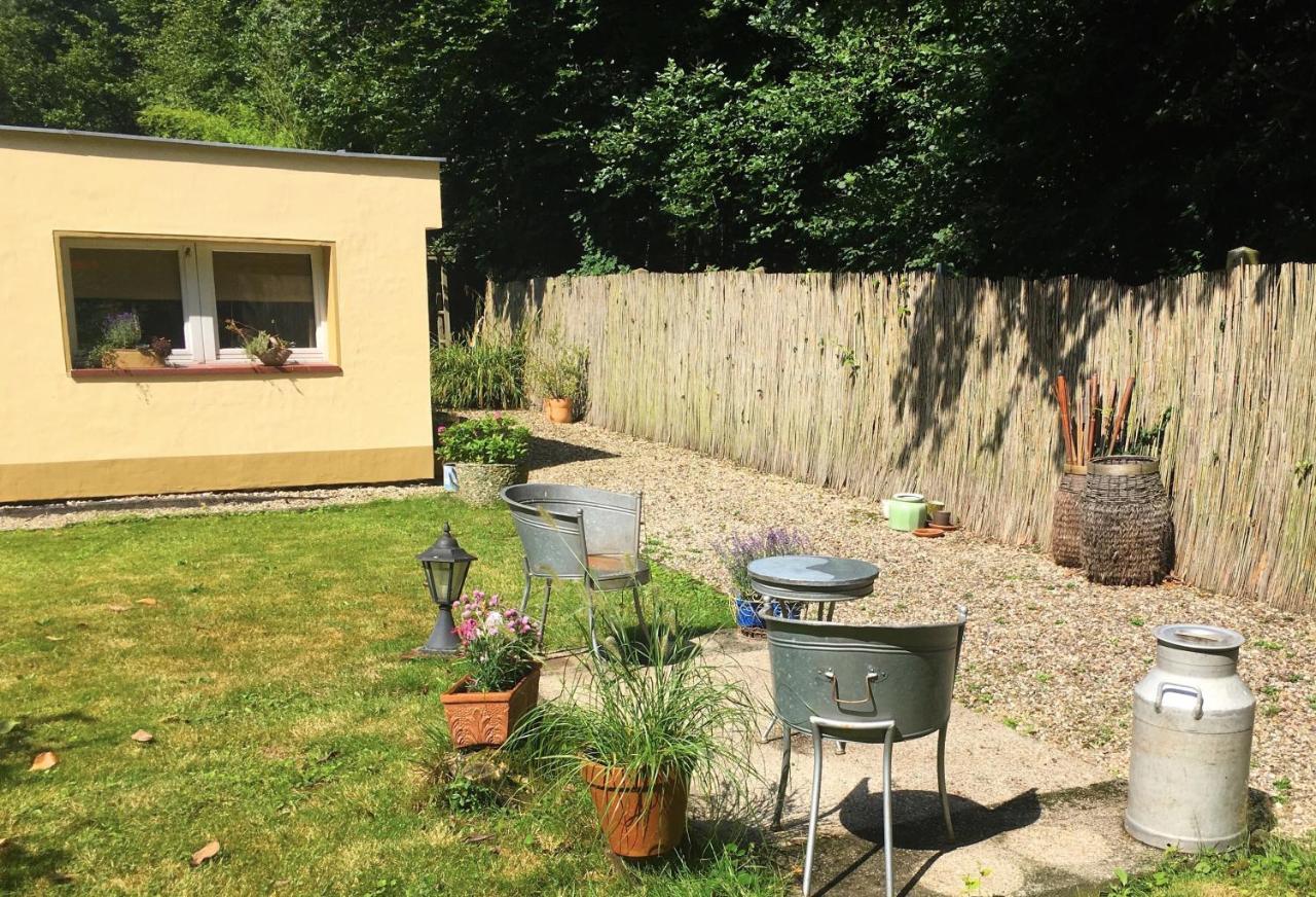 Lodge House Apricot Krefeld
